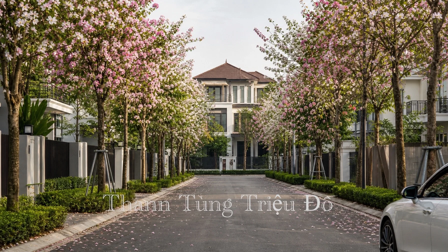 Tuyến đường dạo bộ sinh thái rực rỡ sắc hoa bên trong biệt thự khu P Ciputra