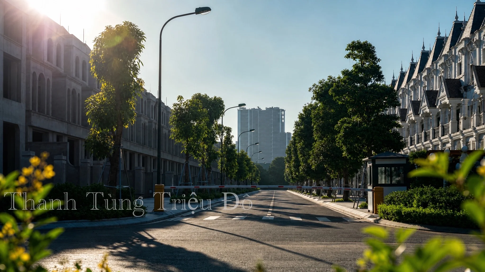 Hình ảnh thực tế hạ tầng đường nội khu trải nhựa rộng thoáng rợp bóng cây xanh tại biệt thự Kita Ciputra